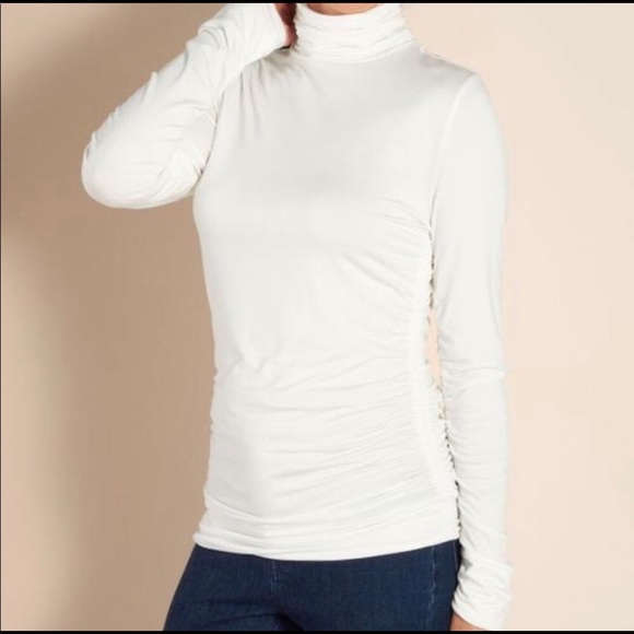 Soft Surroundings Tops - This Soft Surroundings Great Shape Turtleneck  XL